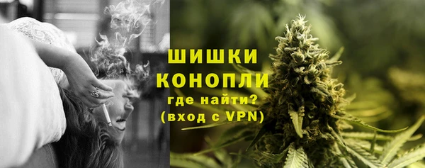 дмт Вяземский